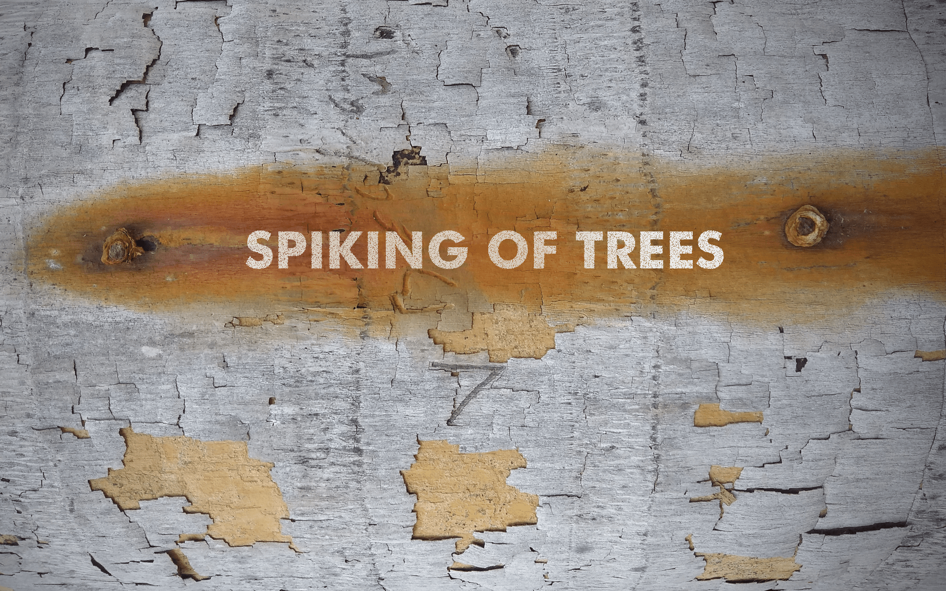 SPIKING OF TREES » IILS Blog